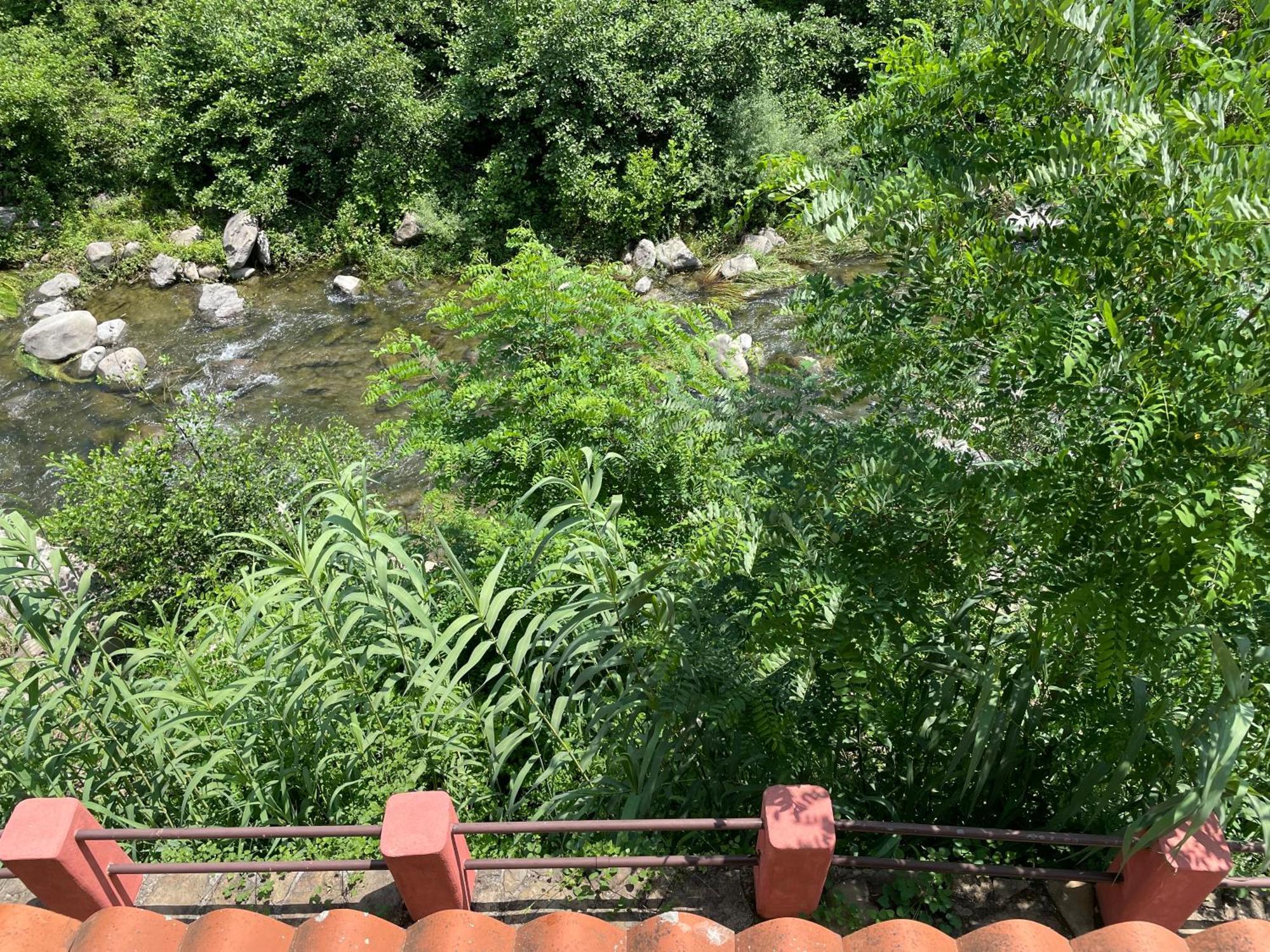 Agriturismo Del Gao Isolabona Dış mekan fotoğraf